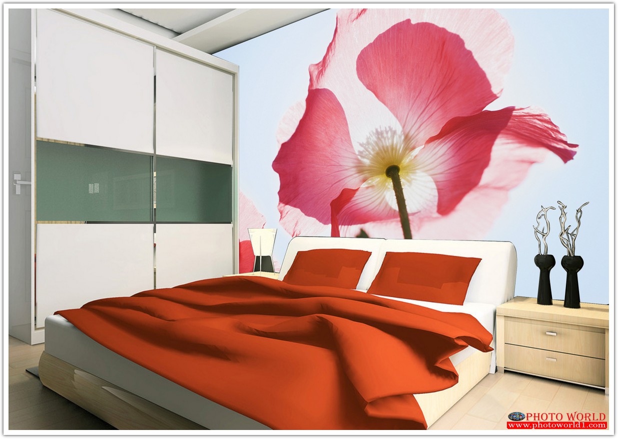 วอลเปเปอร์รูปภาพติดผนังสั่งทำ มีภาพให้เลือกกว่า 50,000 ภาพ ออกแบบกราฟฟิค หรือ รูปภาพตามที่ท่านกำหนด ในสไตล์ท่านเอง "custom made"