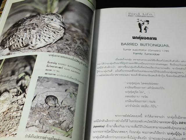 ชีวิตนก bird Life จากบันทึก เเละความทรงจำ โดย สุธี ศุภรัฐวิกร เล่ม 1,2,3 รวม 3 เล่ม ปี 2539-40