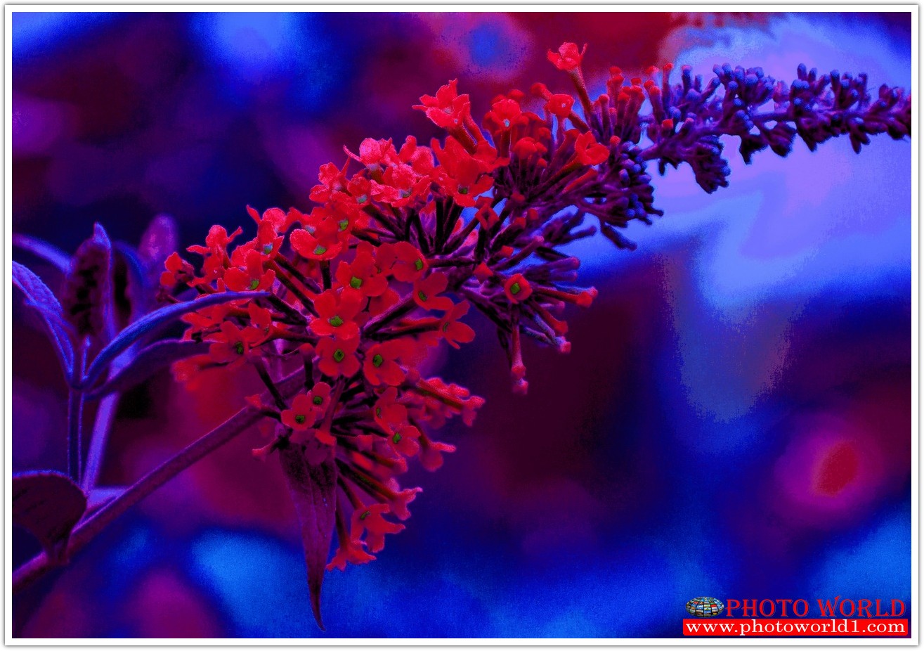 วอลเปเปอร์รูปภาพติดผนังสั่งทำ มีภาพให้เลือกกว่า 50,000 ภาพ ออกแบบกราฟฟิค หรือ รูปภาพตามที่ท่านกำหนด ในสไตล์ท่านเอง "custom made"