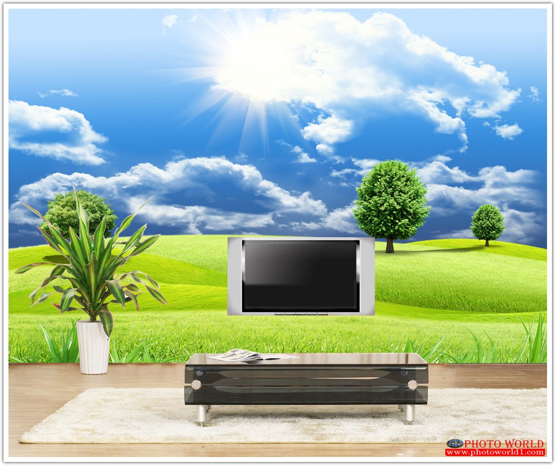 วอลเปเปอร์รูปภาพติดผนังสั่งทำ มีภาพให้เลือกกว่า 50,000 ภาพ ออกแบบกราฟฟิค หรือ รูปภาพตามที่ท่านกำหนด ในสไตล์ท่านเอง "custom made"