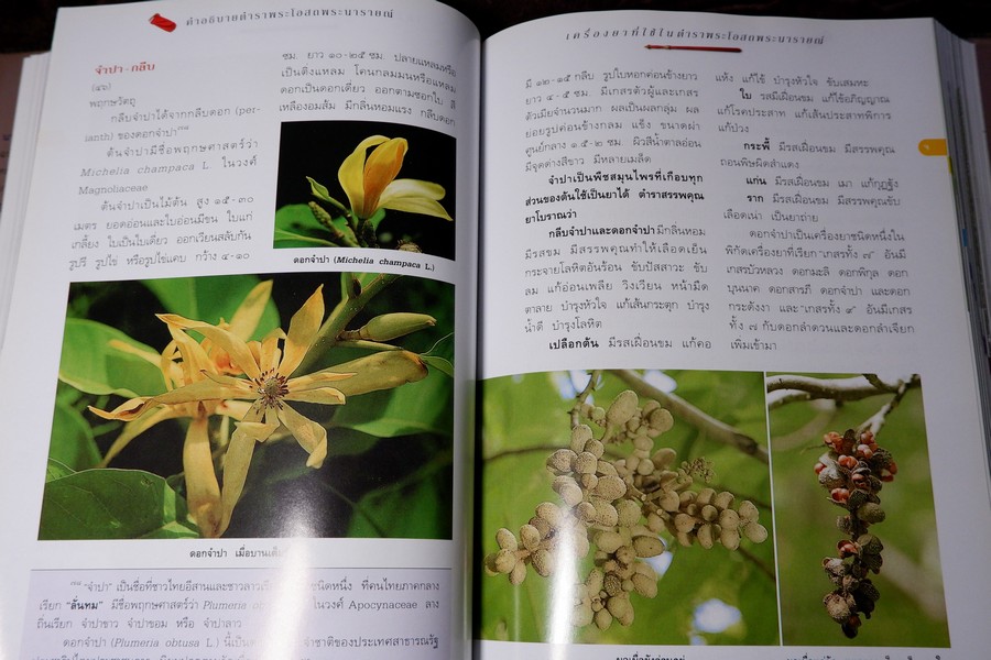 คำอธิบาย ตำราพระโอสถพระนารายณ์ ฉบับเฉลิมพระเกียรติ 72 พรรษามหาราชา พิมพ์เเรก ปี 2544 (pre-order สอบถาม)