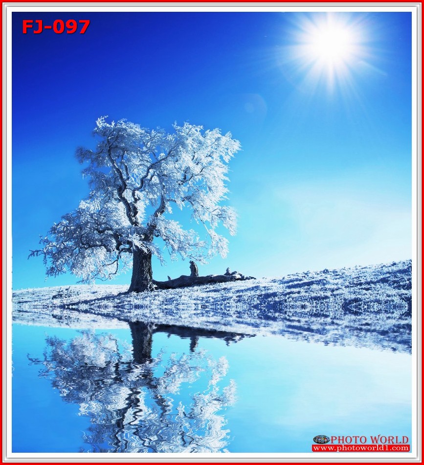 วอลเปเปอร์รูปภาพติดผนังสั่งทำ มีภาพให้เลือกกว่า 50,000 ภาพ ออกแบบกราฟฟิค หรือ รูปภาพตามที่ท่านกำหนด ในสไตล์ท่านเอง "custom made"