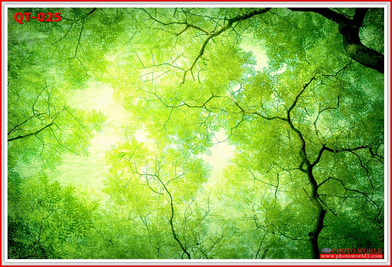 วอลเปเปอร์รูปภาพติดผนังสั่งทำ มีภาพให้เลือกกว่า 50,000 ภาพ ออกแบบกราฟฟิค หรือ รูปภาพตามที่ท่านกำหนด ในสไตล์ท่านเอง "custom made"