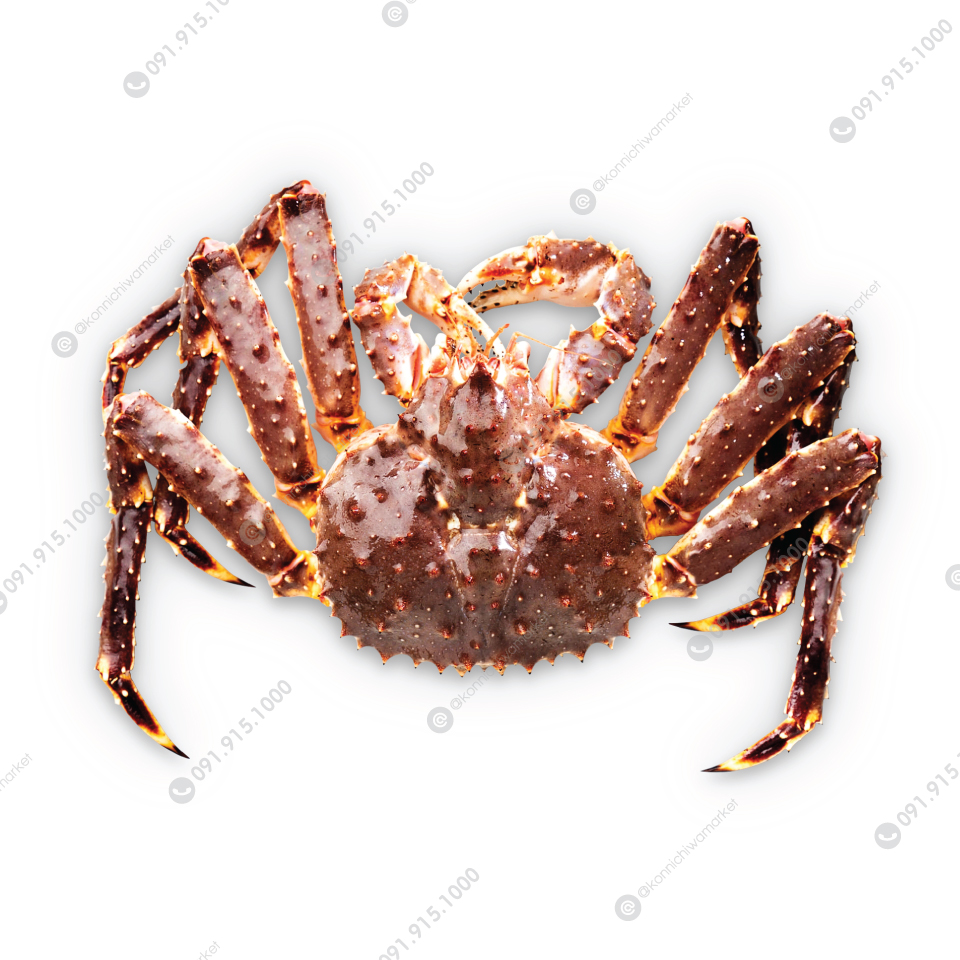 ปูทาราบะ / Taraba King Crab
