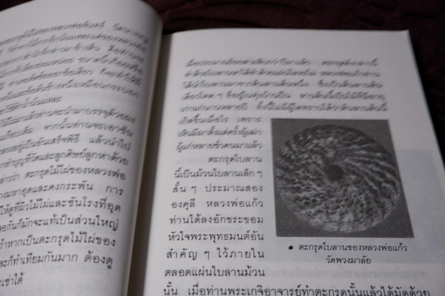 เปิดกรุวัตถุอาถรรณ์ โดย เสมา ท่าพระ หนา 253 หน้า