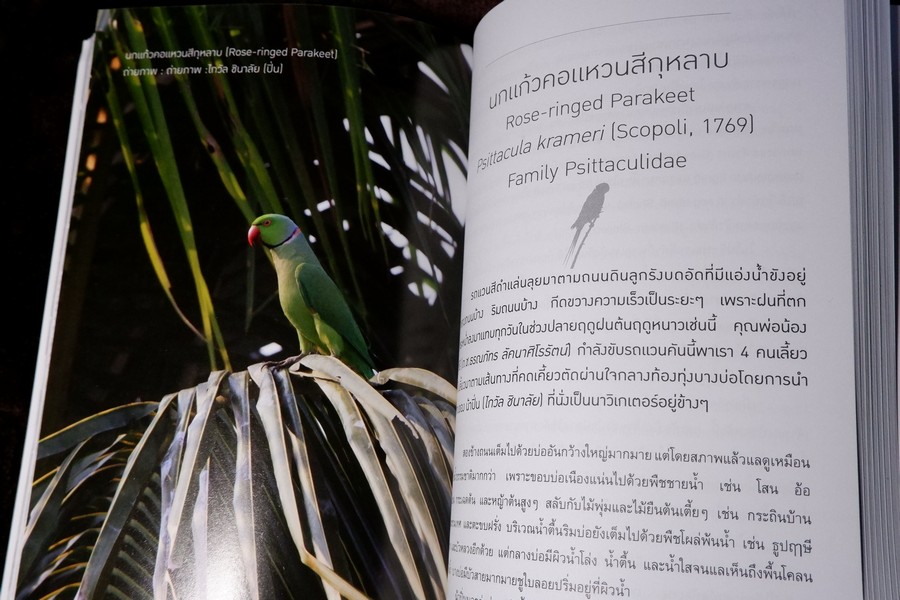 นกไทย ในบันทึกเเละความทรงจำ โดย สุธี ศุภรัฐวิกร พิมพ์ 1000 เล่ม ปี 2558