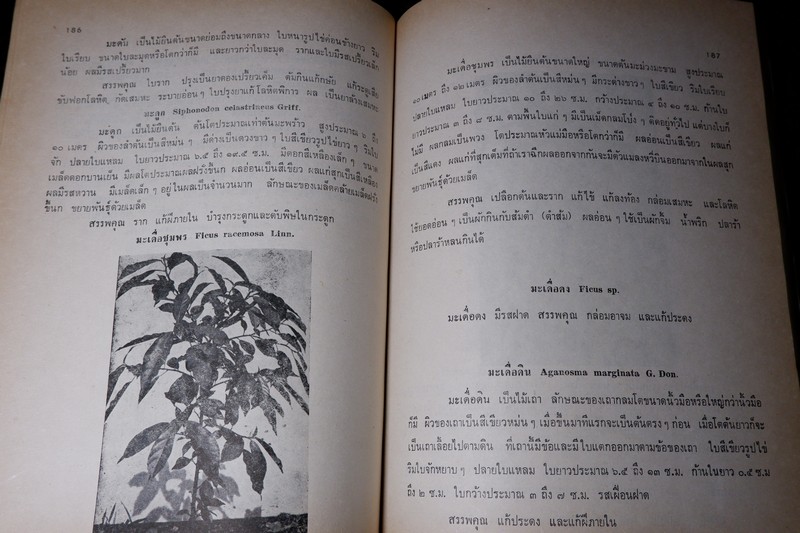 ตำราสรรพคุณ สมุนไพร ยาไทยเเผนโบราณ โดย สายสนม กิตติขจร ปี 2526 (สอบถาม)