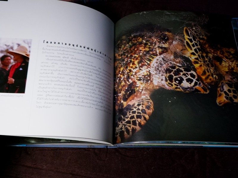 สมเด็จพระนางเจ้าสิริกิติ์ พระบรมราชินีนาถกับสิ่งเเวดล้อม