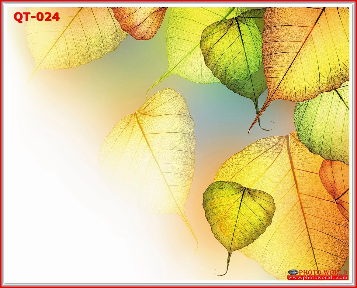 วอลเปเปอร์รูปภาพติดผนังสั่งทำ มีภาพให้เลือกกว่า 50,000 ภาพ ออกแบบกราฟฟิค หรือ รูปภาพตามที่ท่านกำหนด ในสไตล์ท่านเอง "custom made"