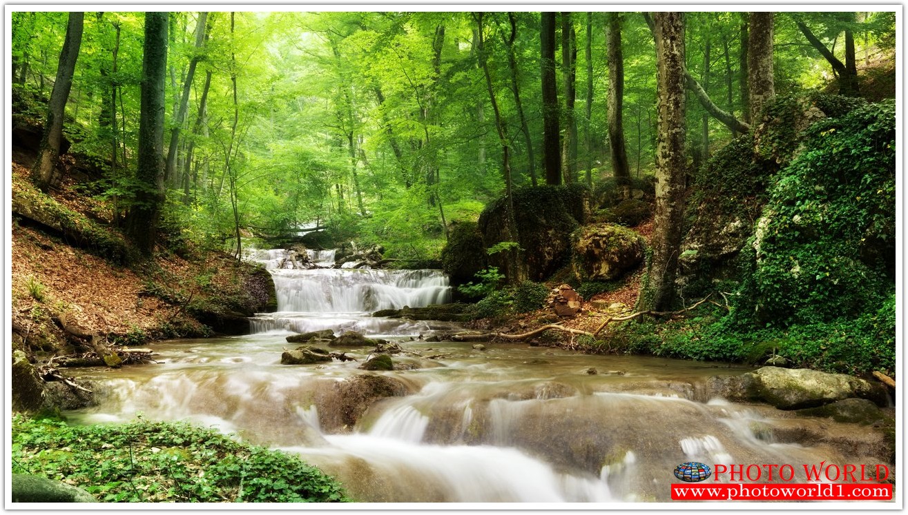 NATURAL วอลเปเปอร์รูปภาพติดผนังสั่งทำ มีภาพให้เลือกกว่า 50,000 ภาพ ออกแบบกราฟฟิค หรือ รูปภาพตามที่ท่านกำหนด ในสไตล์ท่านเอง "custom made"