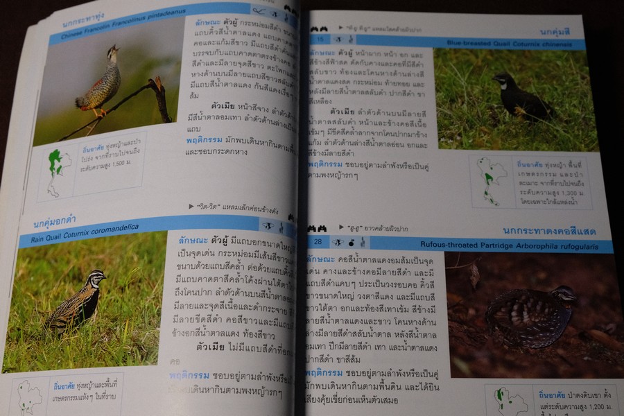 Thailand Bird Guide โดย ร่งโรจน์ จุกมงคล ปี 2549