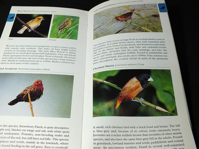 A Photographic Guide to BIRDS of Thailand by Michael Webster and Chew Yen Fook