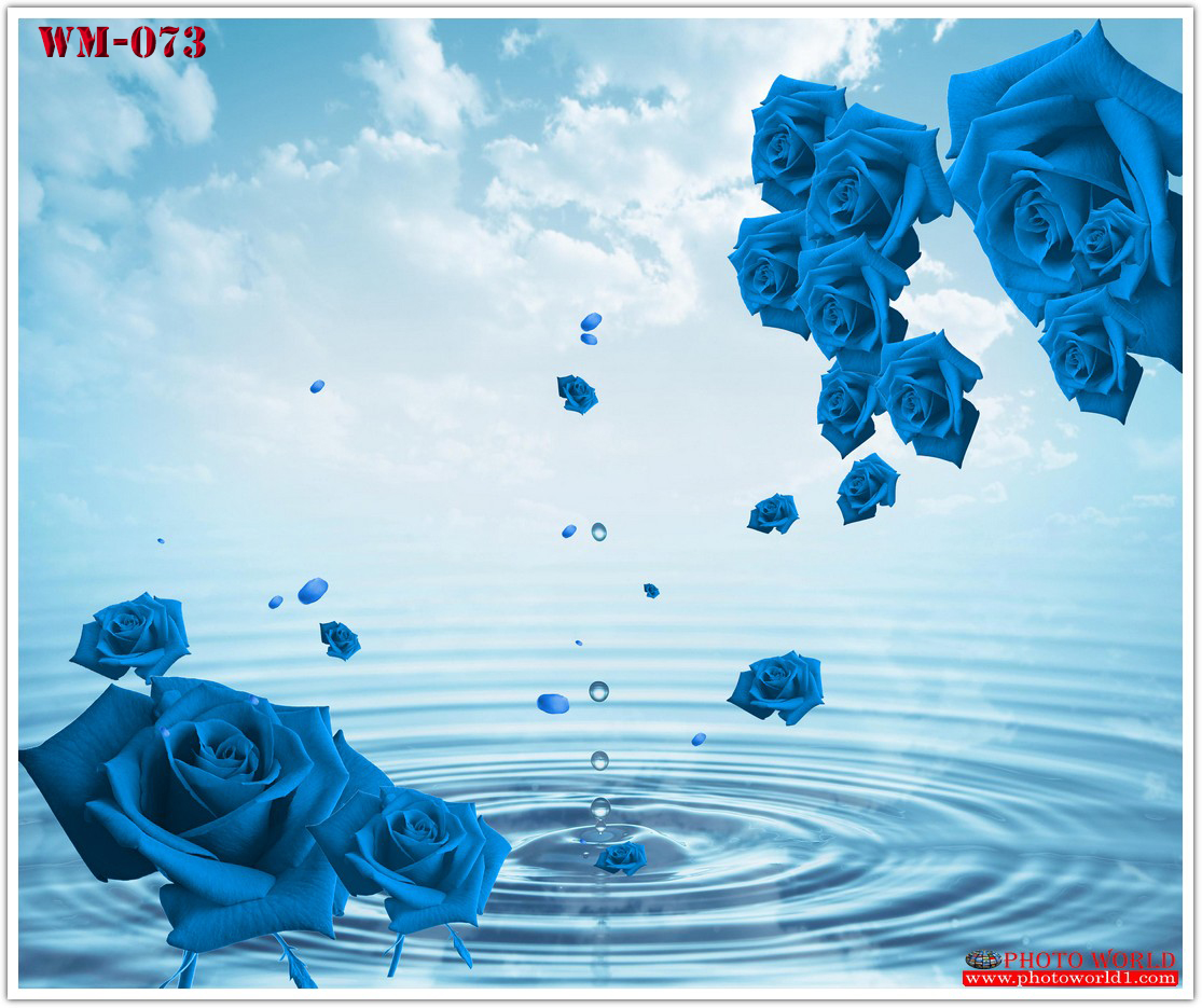 วอลเปเปอร์รูปภาพติดผนังสั่งทำ มีภาพให้เลือกกว่า 50,000 ภาพ ออกแบบกราฟฟิค หรือ รูปภาพตามที่ท่านกำหนด ในสไตล์ท่านเอง "custom made"