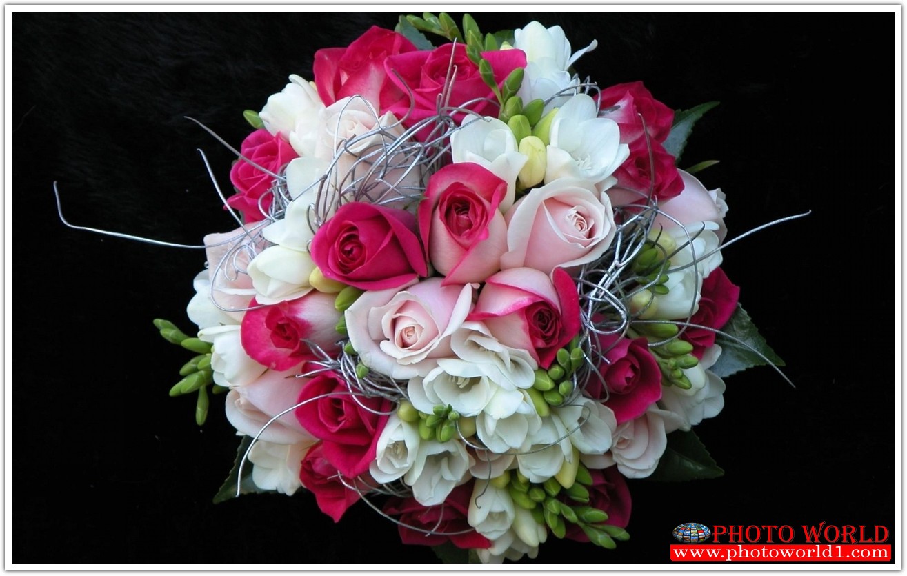 วอลเปเปอร์รูปภาพติดผนังสั่งทำ มีภาพให้เลือกกว่า 50,000 ภาพ ออกแบบกราฟฟิค หรือ รูปภาพตามที่ท่านกำหนด ในสไตล์ท่านเอง "custom made"