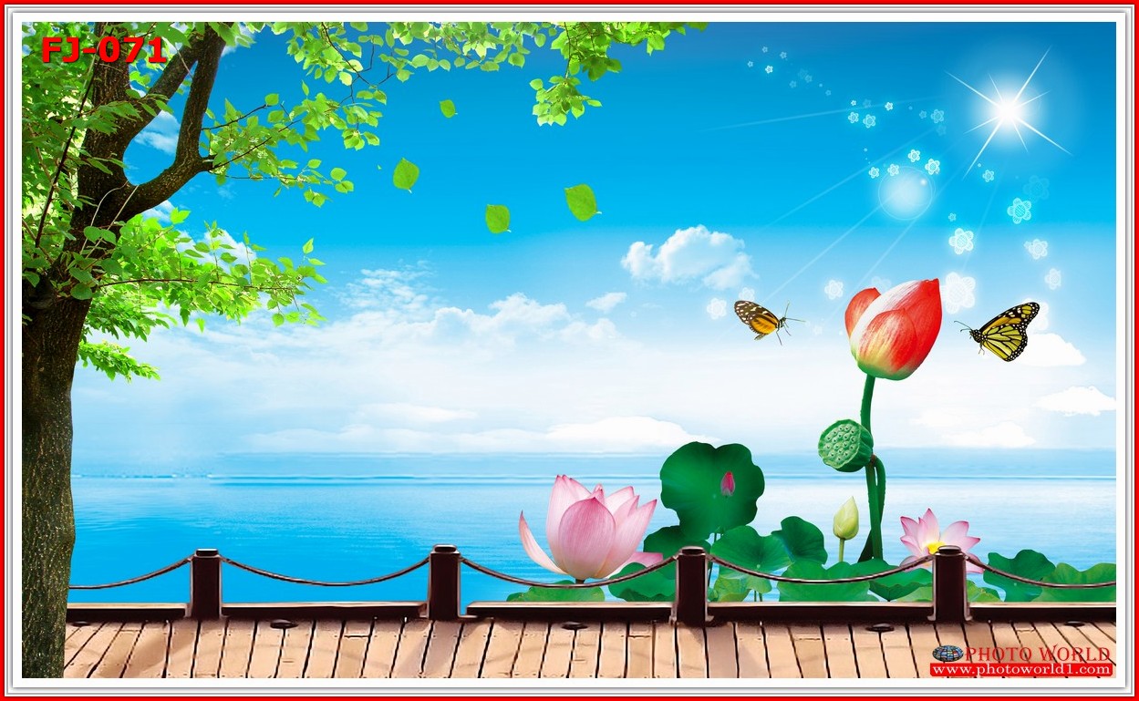 วอลเปเปอร์รูปภาพติดผนังสั่งทำ มีภาพให้เลือกกว่า 50,000 ภาพ ออกแบบกราฟฟิค หรือ รูปภาพตามที่ท่านกำหนด ในสไตล์ท่านเอง "custom made"