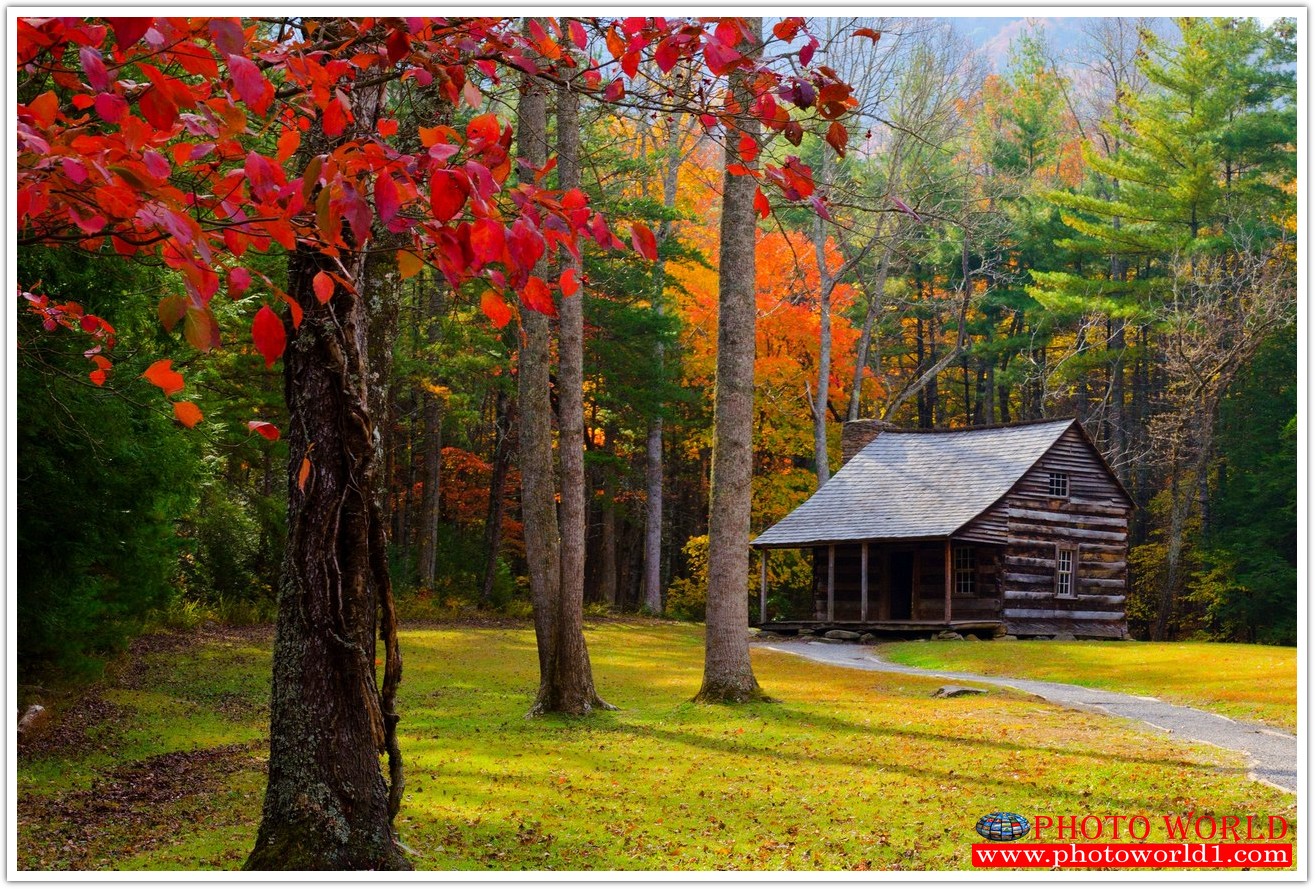 NATURAL วอลเปเปอร์รูปภาพติดผนังสั่งทำ มีภาพให้เลือกกว่า 50,000 ภาพ ออกแบบกราฟฟิค หรือ รูปภาพตามที่ท่านกำหนด ในสไตล์ท่านเอง "custom made"