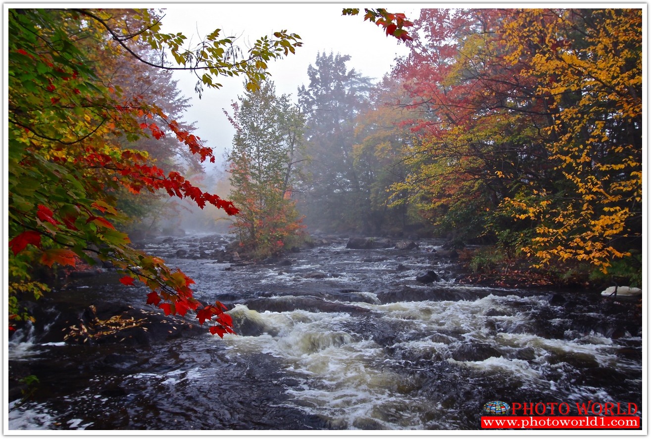 NATURAL วอลเปเปอร์รูปภาพติดผนังสั่งทำ มีภาพให้เลือกกว่า 50,000 ภาพ ออกแบบกราฟฟิค หรือ รูปภาพตามที่ท่านกำหนด ในสไตล์ท่านเอง "custom made"