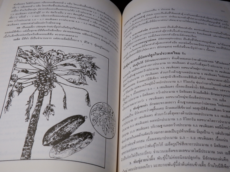 พืชเครื่องเทศ เเละ สมุนไพร โดย รุ่งรัตน์ เหลืองนทีเทพ