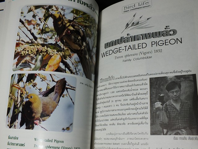 ชีวิตนก bird Life จากบันทึก เเละความทรงจำ โดย สุธี ศุภรัฐวิกร เล่ม 1,2,3 รวม 3 เล่ม ปี 2539-40
