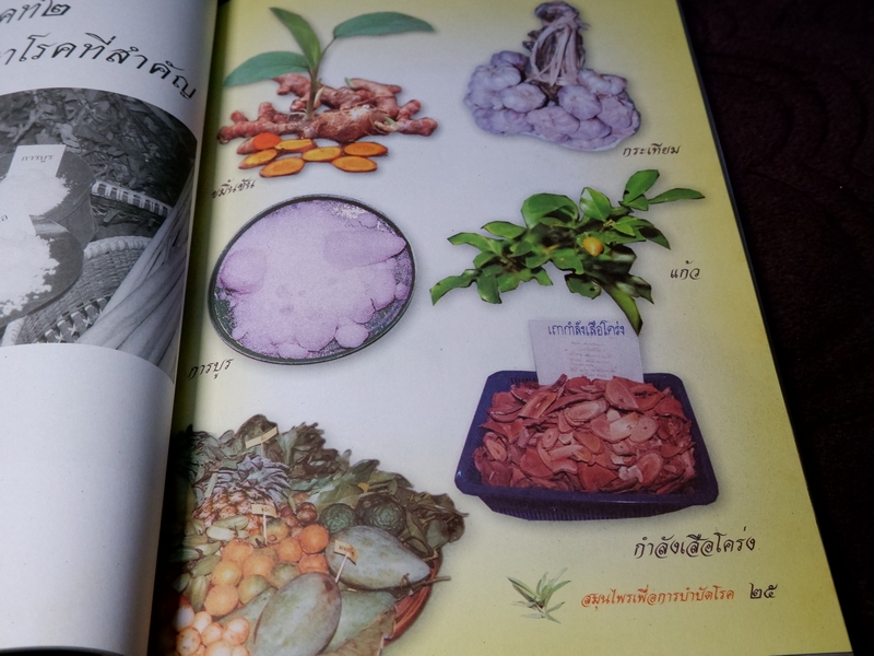 สมุนไพรเพื่อการบำบัดโรค เเก้ว กาญจนา