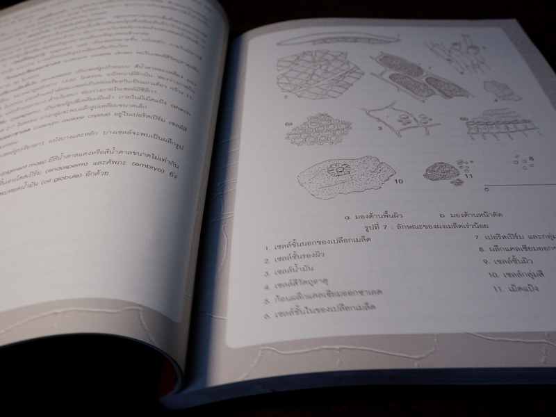 สมุนไพรไทย-จีน โดย กรมวิทยาศาสตร์การเเพทย์ กระทรวงสาธารณสุข