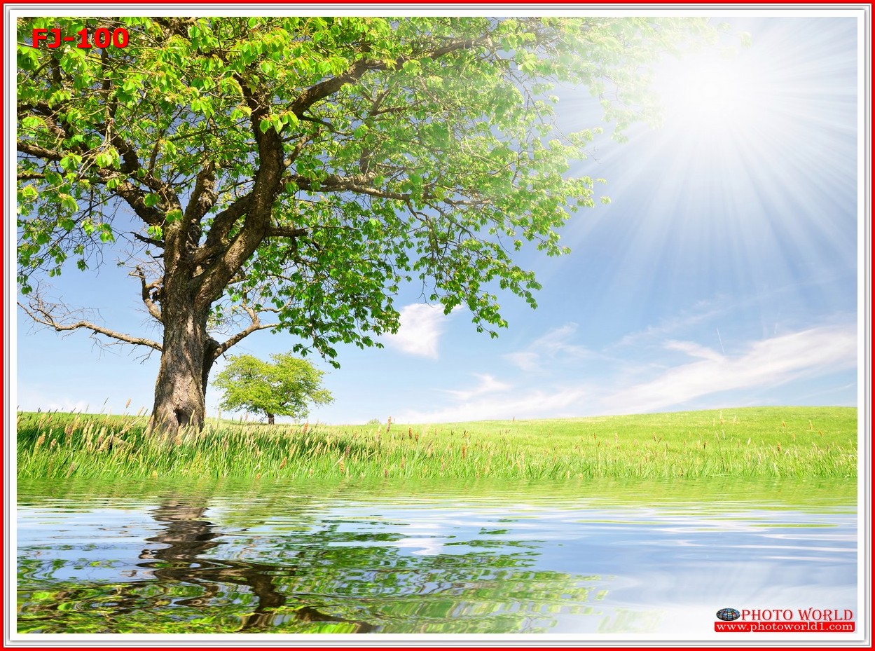 วอลเปเปอร์รูปภาพติดผนังสั่งทำ มีภาพให้เลือกกว่า 50,000 ภาพ ออกแบบกราฟฟิค หรือ รูปภาพตามที่ท่านกำหนด ในสไตล์ท่านเอง "custom made"