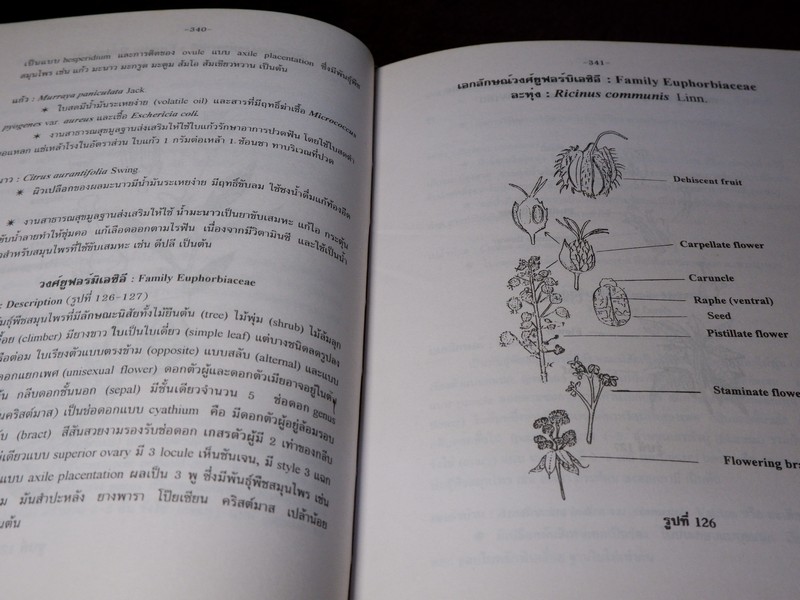 การตรวจเอกลักษณ์พืชสมุนไพร ภาคพิเศษ โดย สถาบันการเเพทย์ไทย เเละ คณะเภสัช ม.เชียงใหม่