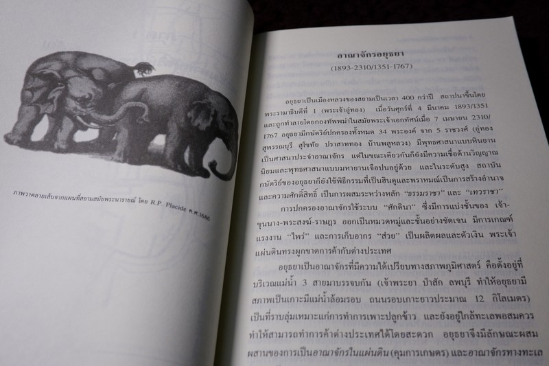 อยุธยา ประวัติศาสตร์เเละการเมือง โดย ชาญวิทย์ เกษตรศิริ