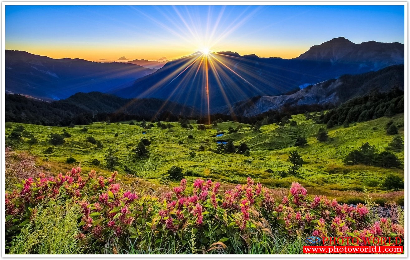 NATURAL วอลเปเปอร์รูปภาพติดผนังสั่งทำ มีภาพให้เลือกกว่า 50,000 ภาพ ออกแบบกราฟฟิค หรือ รูปภาพตามที่ท่านกำหนด ในสไตล์ท่านเอง "custom made"