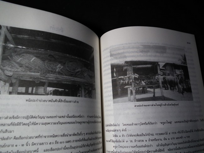 ชีวิตไทยชุดบูชาพญาแถน โดย สำนักงานคณะกรรมการวัฒนธรรมแห่งชาติ กระทรวงศึกษาธิการ หนา 242 หน้า ปี2538