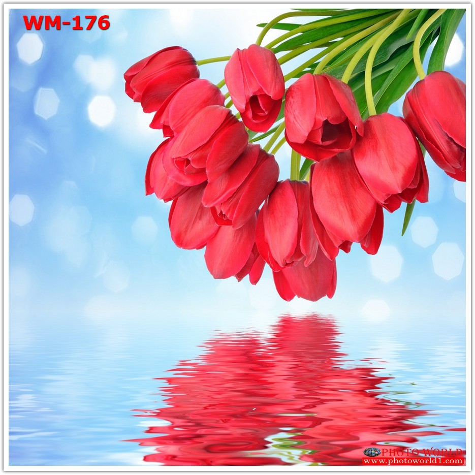 วอลเปเปอร์รูปภาพติดผนังสั่งทำ มีภาพให้เลือกกว่า 50,000 ภาพ ออกแบบกราฟฟิค หรือ รูปภาพตามที่ท่านกำหนด ในสไตล์ท่านเอง "custom made"