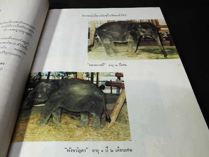 พระราชพิธีสมโภชช้างเผือก 3 เชือก ณ จังหวัดเพชรบุรี พ.ศ.2521 ปกแข็ง