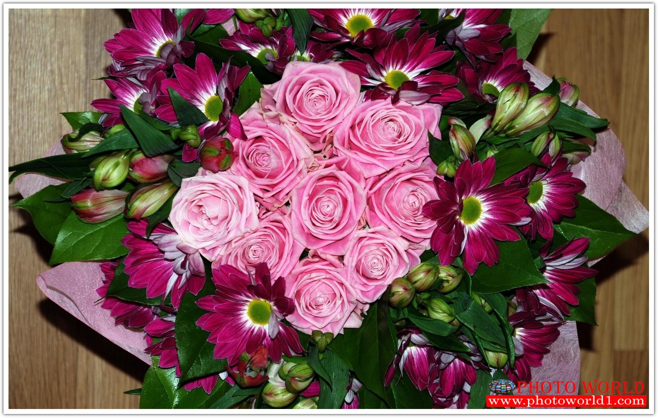 วอลเปเปอร์รูปภาพติดผนังสั่งทำ มีภาพให้เลือกกว่า 50,000 ภาพ ออกแบบกราฟฟิค หรือ รูปภาพตามที่ท่านกำหนด ในสไตล์ท่านเอง "custom made"