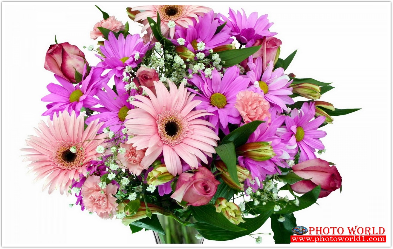 วอลเปเปอร์รูปภาพติดผนังสั่งทำ มีภาพให้เลือกกว่า 50,000 ภาพ ออกแบบกราฟฟิค หรือ รูปภาพตามที่ท่านกำหนด ในสไตล์ท่านเอง "custom made"