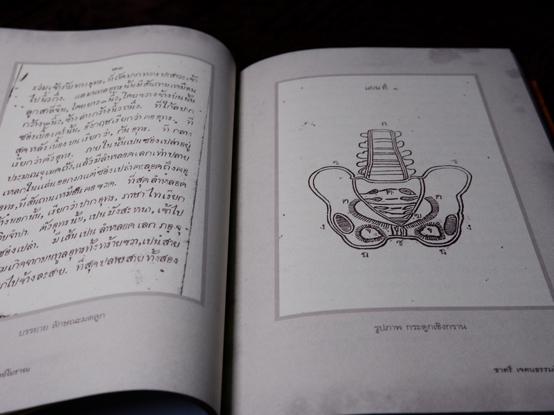 9 สุดยอดตำรา การเเพทย์โบราณ ชาตรี เจตนธรรมจักร วันทนี เจตนธรรมจักร พิมพ์ 1000 เล่ม ปี 2551 (Pre-Order สอบถาม)