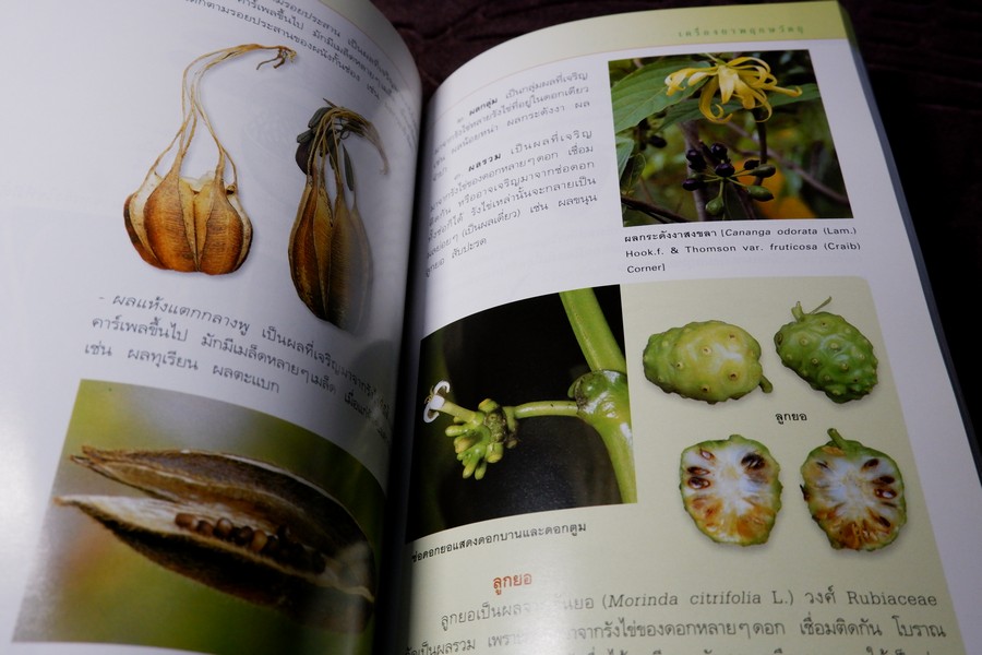 คู่มือเภสัชกรรมเเผนไทย เล่ม 2 เครื่องยาพฤกษวัตถุ พิมพ์ปี 2545