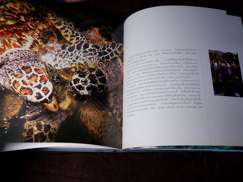 สมเด็จพระนางเจ้าสิริกิติ์ พระบรมราชินีนาถกับสิ่งเเวดล้อม