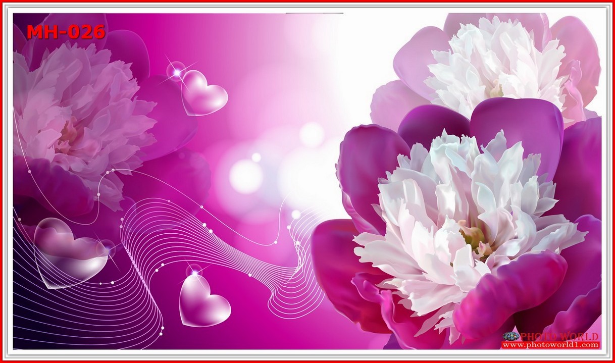 วอลเปเปอร์รูปภาพติดผนังสั่งทำ มีภาพให้เลือกกว่า 50,000 ภาพ ออกแบบกราฟฟิค หรือ รูปภาพตามที่ท่านกำหนด ในสไตล์ท่านเอง "custom made"