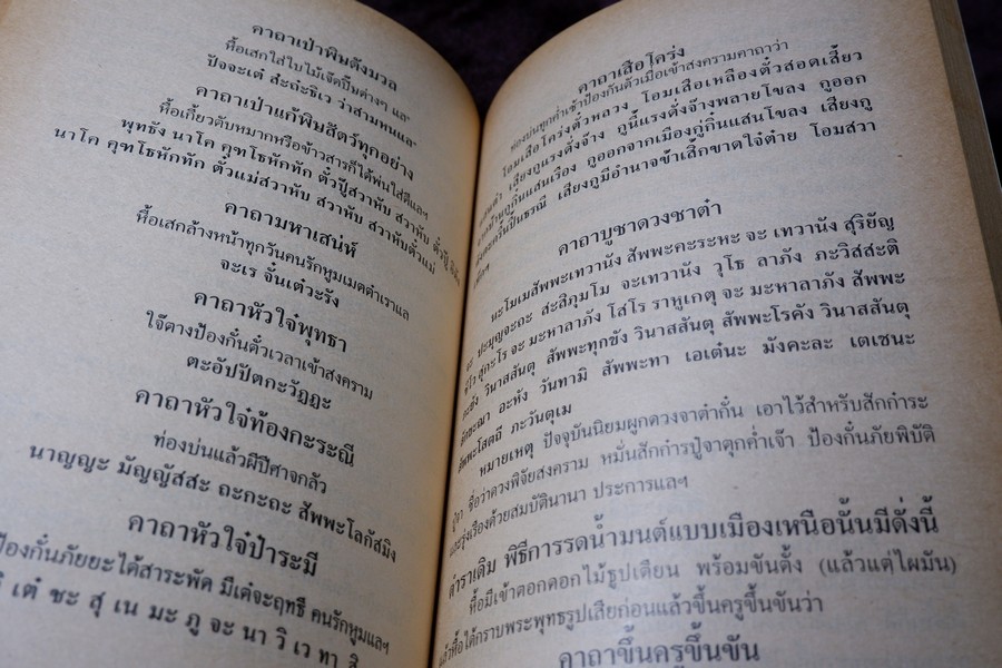 ของดีจากปั๊บสา โดย ญาณสมฺปนฺโน หนา 320 หน้า