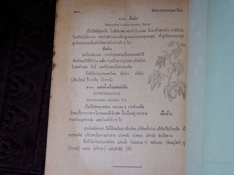 ประมวลหลักเภสัช เเละ ประมวลสรรพคุณยาไทย ของ ร.ร.เเพทย์เเผนโบราณ วัดพระเชตุพน