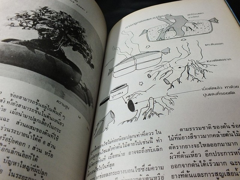 บอนไซ 01 02 03 รวม 3 เล่ม โดยชมรมบอนไซ(ไม้เเคระ) เเห่งประเทศไทย //สอบถาม//