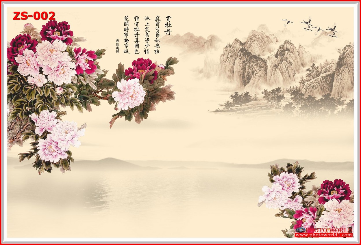 วอลเปเปอร์รูปภาพติดผนังสั่งทำ มีภาพให้เลือกกว่า 50,000 ภาพ ออกแบบกราฟฟิค หรือ รูปภาพตามที่ท่านกำหนด ในสไตล์ท่านเอง "custom made"