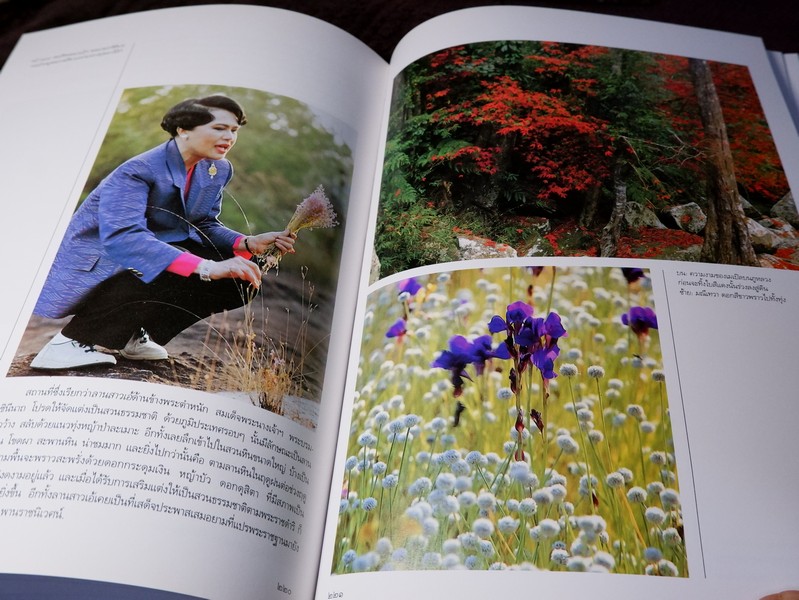 นวมินทร์ราชินี สมเด็จพระนางเจ้าสิริกิติ์ พระบรมราชินีนาถ