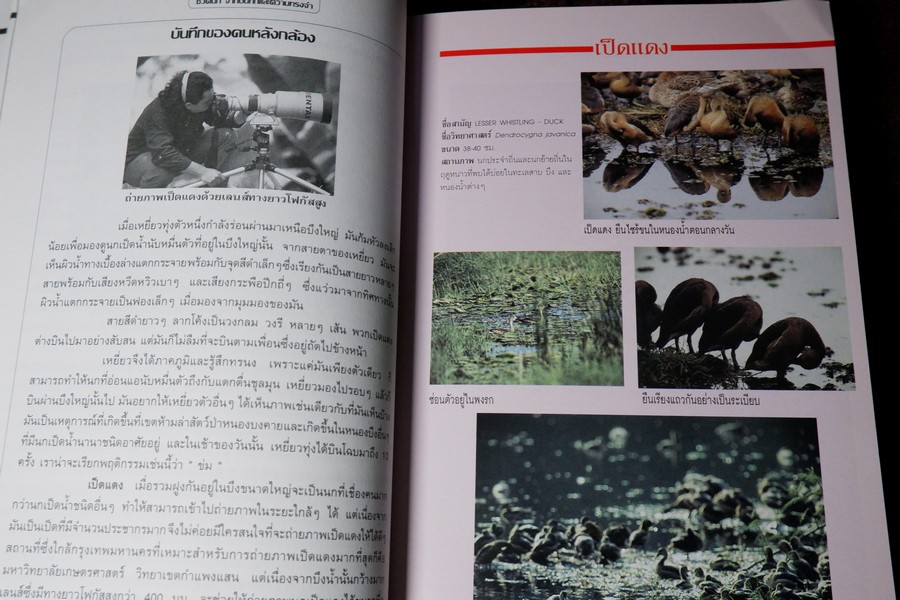 ชีวิตนก จากบันทึก เเละความทรงจำ เล่ม 1 โดย สุธี ศุภรัฐวิกร