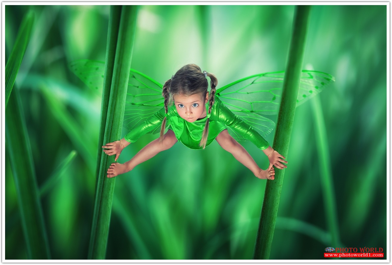 วอลเปเปอร์รูปภาพติดผนังสั่งทำ BOY&GIRL (PHOTO STOCK) มีภาพให้เลือกกว่า 50,000 ภาพ ออกแบบกราฟฟิค หรือ รูปภาพตามที่ท่านกำหนด ในสไตล์ท่านเอง "custom made"