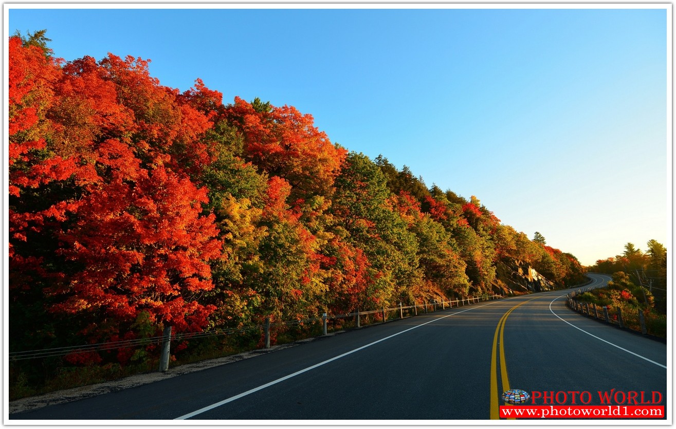 NATURAL วอลเปเปอร์รูปภาพติดผนังสั่งทำ มีภาพให้เลือกกว่า 50,000 ภาพ ออกแบบกราฟฟิค หรือ รูปภาพตามที่ท่านกำหนด ในสไตล์ท่านเอง "custom made"