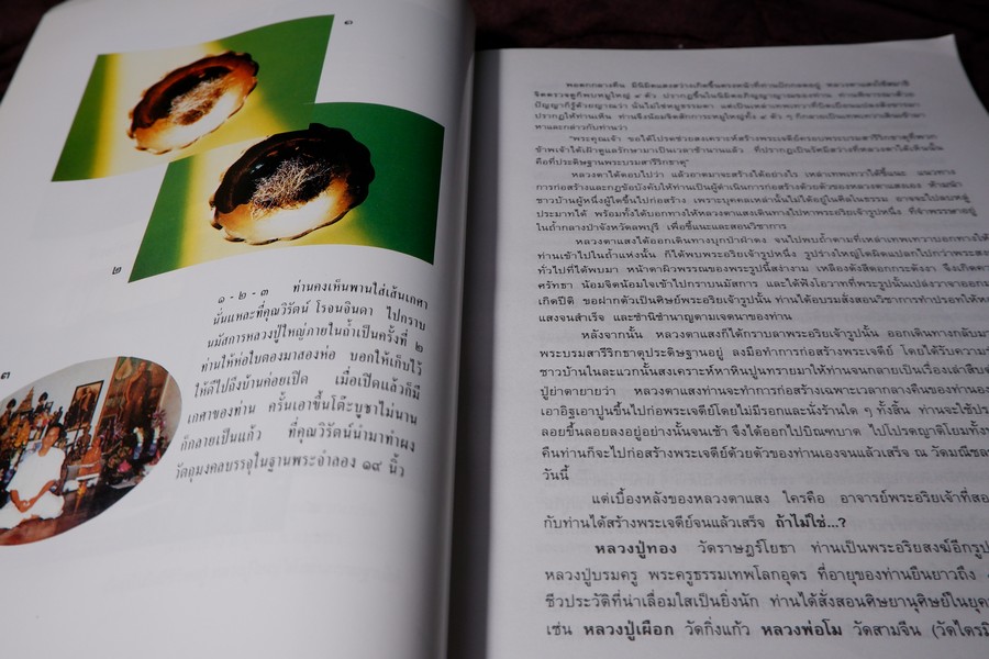 ตามรอยหลวงปู่ใหญ่(เล่มพิเศษ) หนา 266 หน้า พิมพ์ 1000 เล่ม ปี 2547 (สอบถาม)