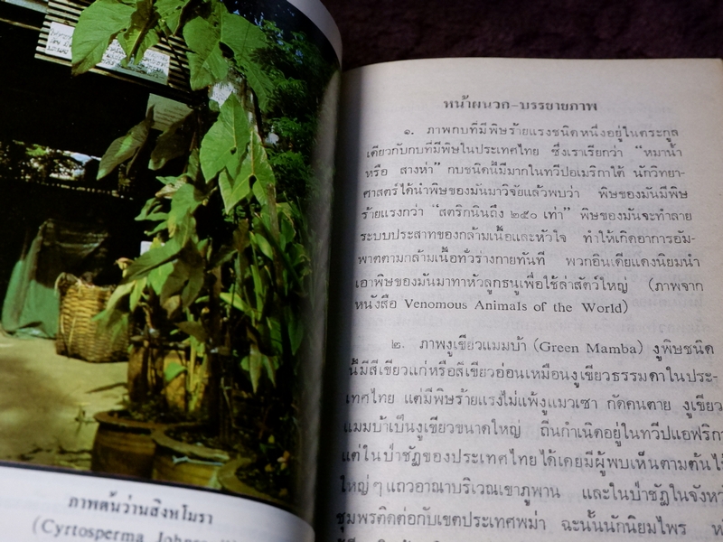 หลักการใช้ยาสมุนไพรรักษาโรคต่างๆ โดย พ.ต.อ.ชลอ อุทกภาชน์ เล่ม 1 เเละ 2 (Pre-Order สอบถาม)