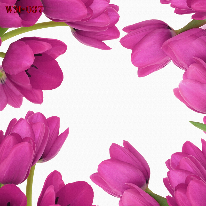 วอลเปเปอร์รูปภาพติดผนังสั่งทำ มีภาพให้เลือกกว่า 50,000 ภาพ ออกแบบกราฟฟิค หรือ รูปภาพตามที่ท่านกำหนด ในสไตล์ท่านเอง "custom made"