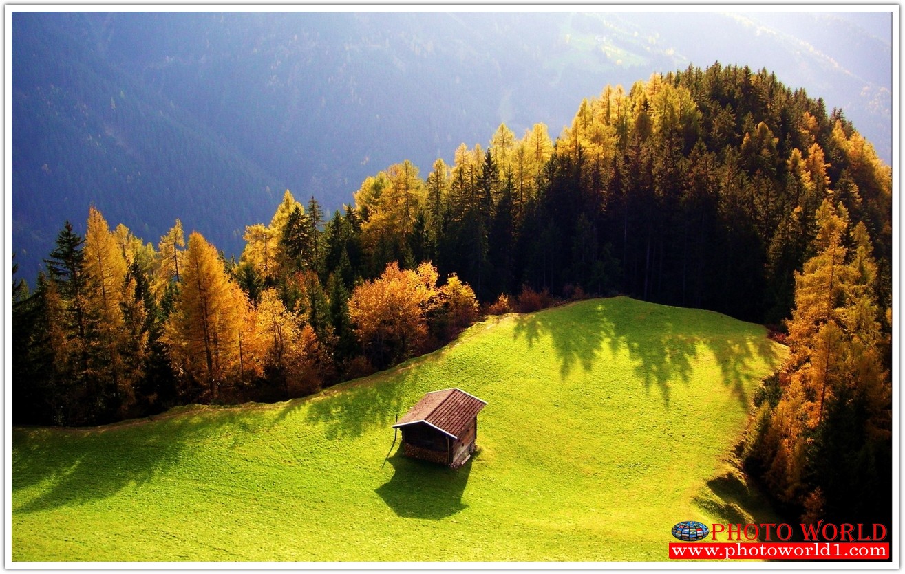 NATURAL วอลเปเปอร์รูปภาพติดผนังสั่งทำ มีภาพให้เลือกกว่า 50,000 ภาพ ออกแบบกราฟฟิค หรือ รูปภาพตามที่ท่านกำหนด ในสไตล์ท่านเอง "custom made"